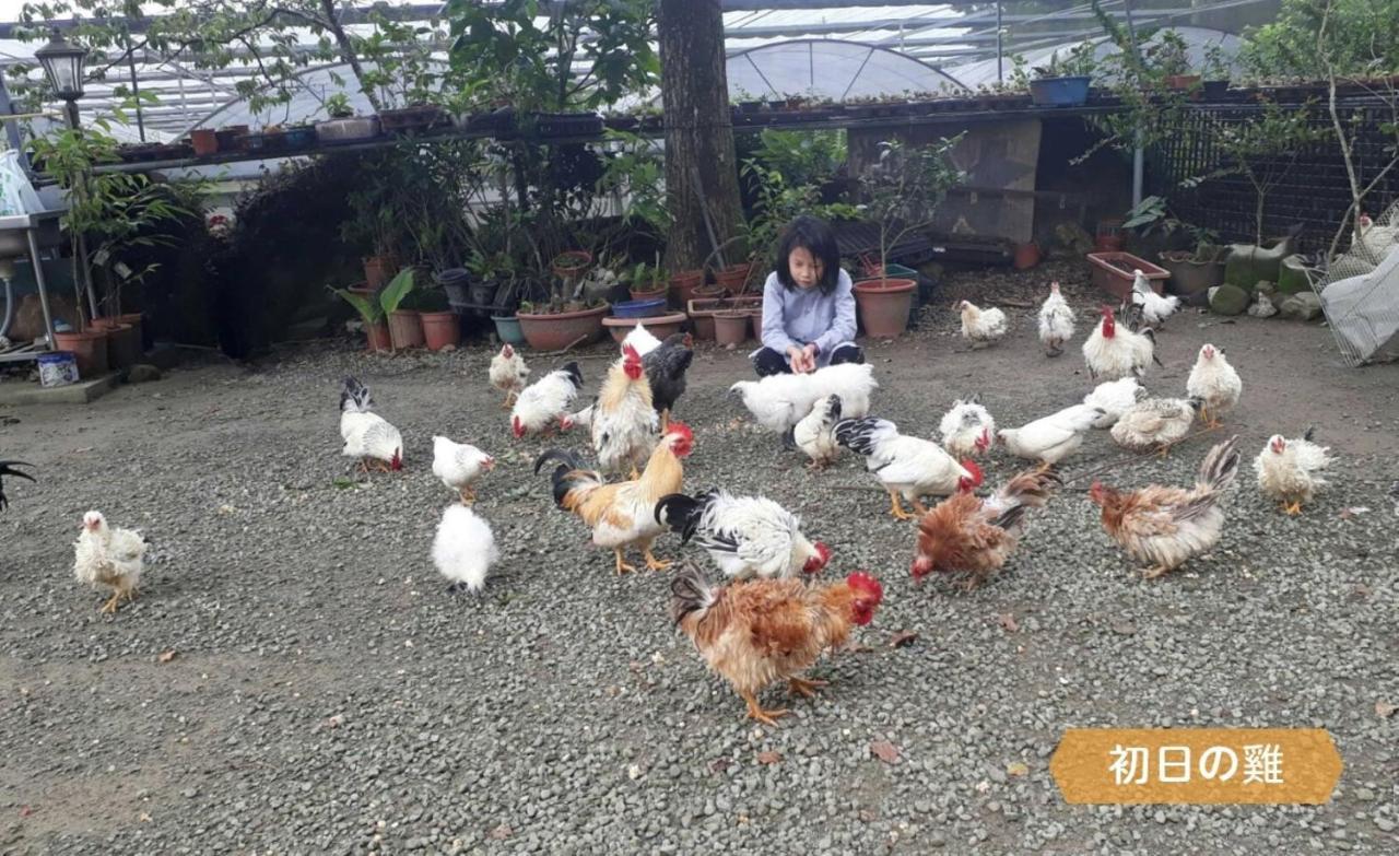 Alishan Sunrise B&B Fanlu ภายนอก รูปภาพ